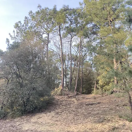 Grand Bleu 2 - Balcon Sur L Ocean, Piscine Et Parking
