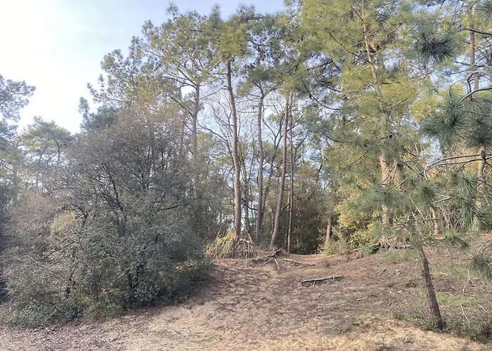 Grand Bleu 2 - Balcon Sur L Ocean, Piscine Et Parking